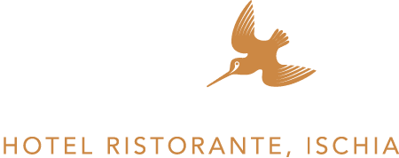 Logo Beccaccia Ischia Hotel Ristorante